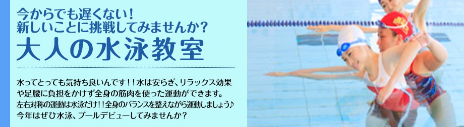 大人の水泳教室